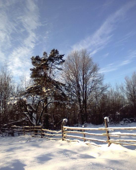 Грибова Рудня з panoramio.com - Грибова Рудня