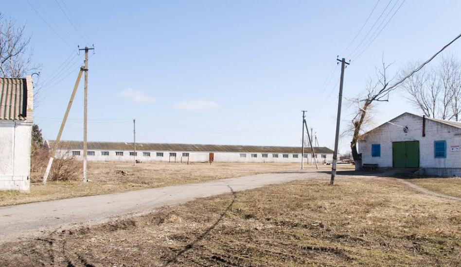 Хуторо-Губиниха з panoramio.com - Хуторо-Губиниха