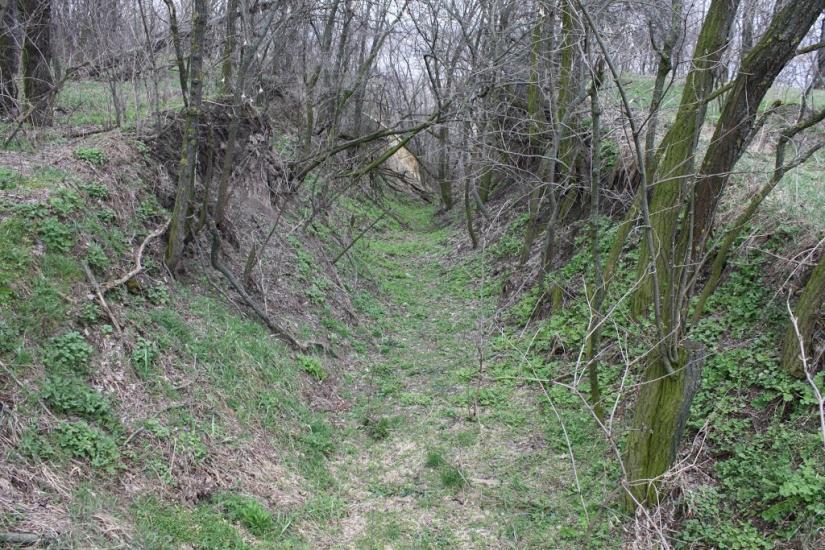 Лящівка з panoramio.com - Lyaschivka