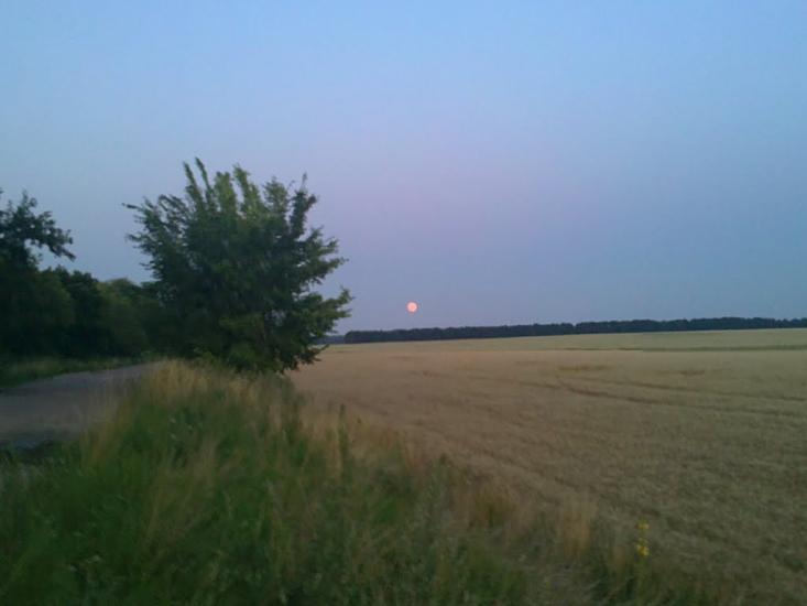 Велика Чернявка з panoramio.com - Velyka Chernyavka