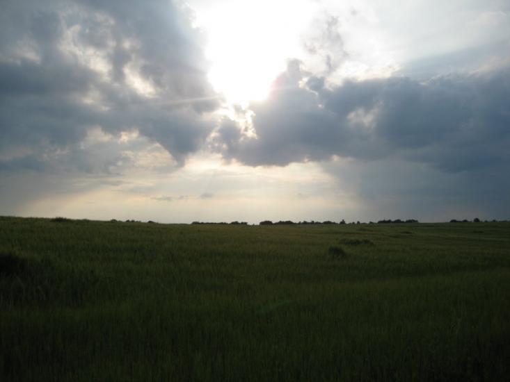 Білоусівка з panoramio.com - Білоусівка