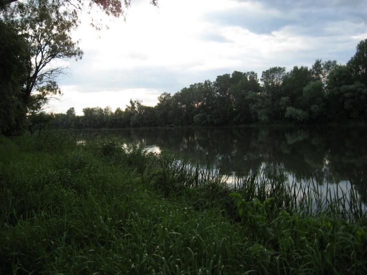 Жовте з panoramio.com - Желтое