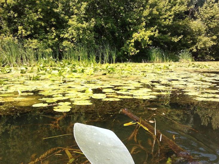 Межиріч з panoramio.com - Mezhyrich