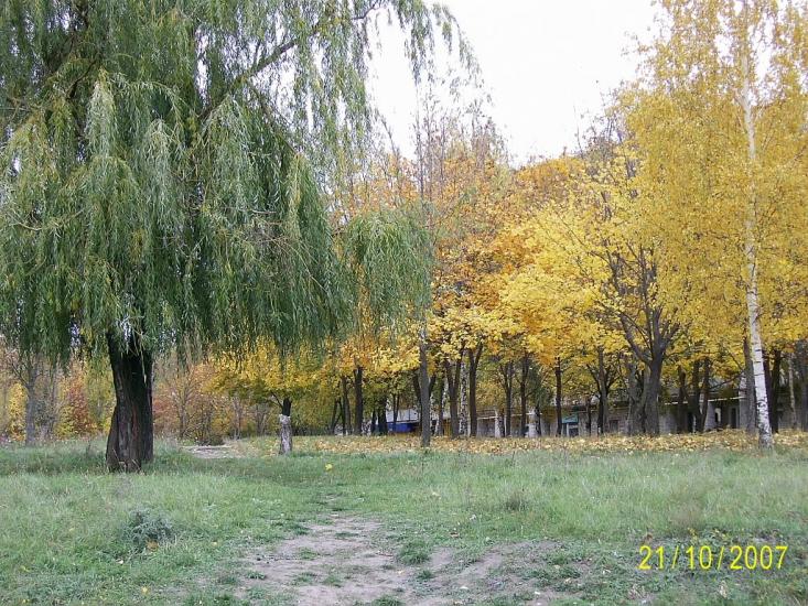Смоліне з panoramio.com - Smoline