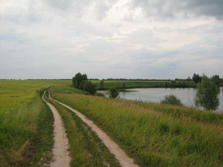 Білоусівка з panoramio.com - Білоусівка