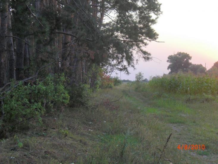 Кийлів з panoramio.com - Кийлів