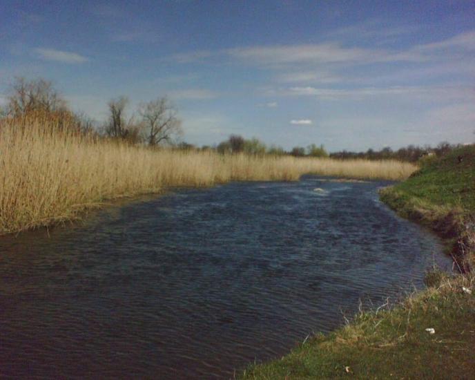 Лиса Гора з panoramio.com - Лиса Гора