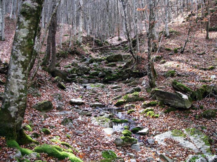 Многоріччя з panoramio.com - Многоречье