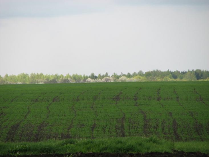 Мартинівка з panoramio.com - Мартыновка