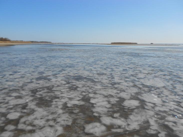 Чапаєвка з panoramio.com - Чапаевка