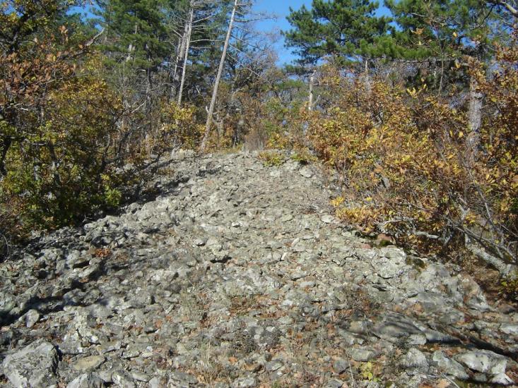 Виноградний з panoramio.com