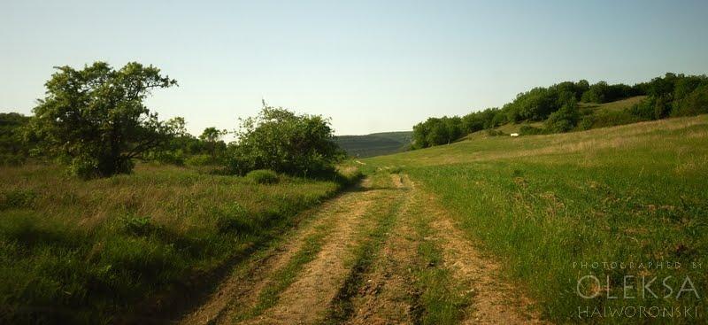 Верхньосадове з panoramio.com - Verkhnosadove