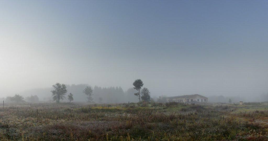 Грибова Рудня з panoramio.com - Грибова Рудня
