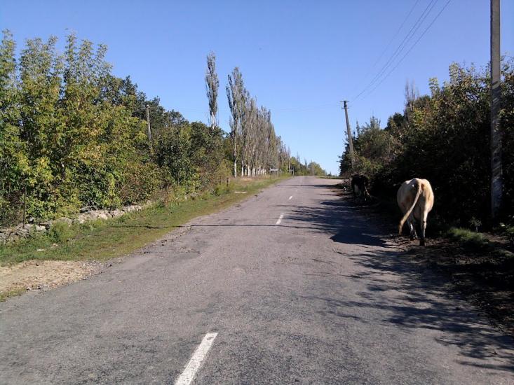 Бандишівка з panoramio.com - Bandyshivka