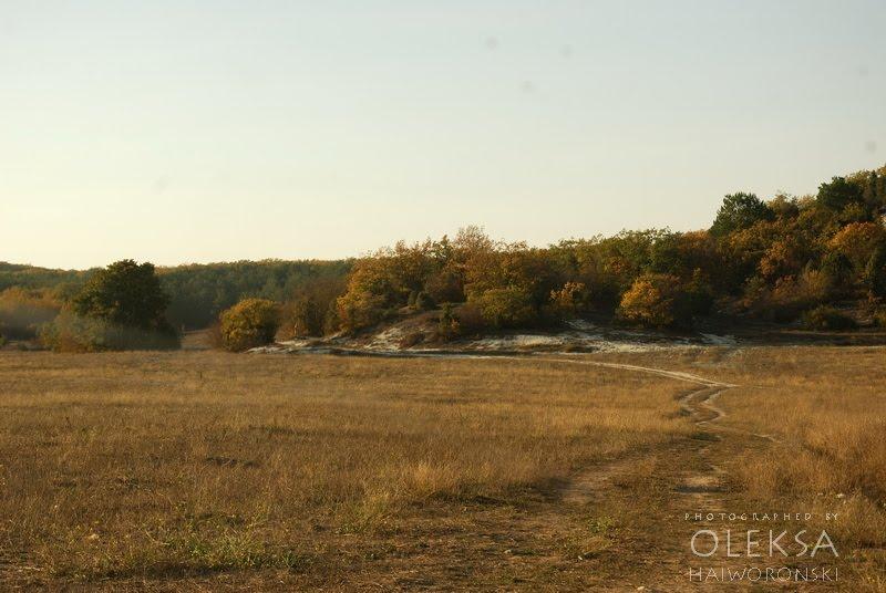 Холмівка з panoramio.com - Холмовка