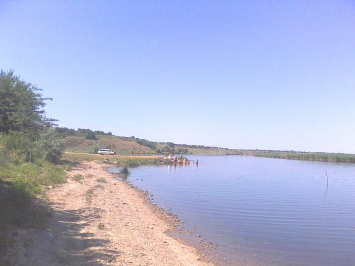 Новотимофіївка з panoramio.com - Новотимофіївка