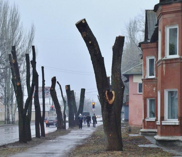 Харцизьк з panoramio.com - Харцызск