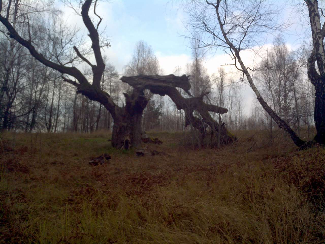 Городище - Городец