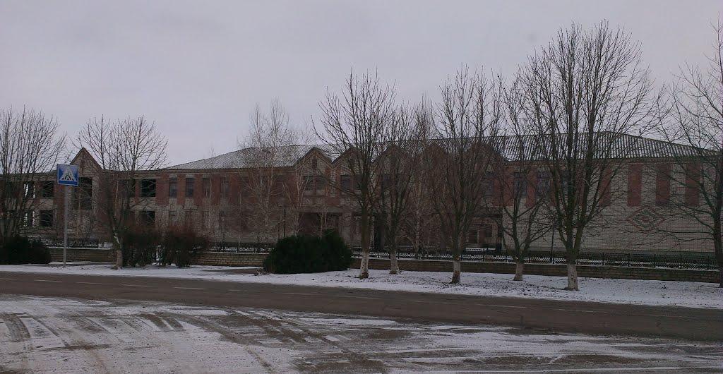 Новогригорівка з panoramio.com - Новогригорівка