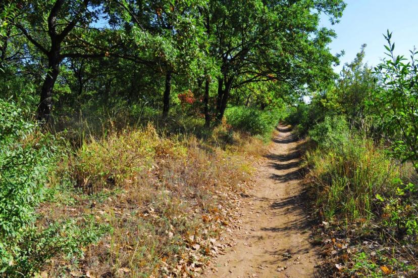 Антонівка з panoramio.com - Antonivka
