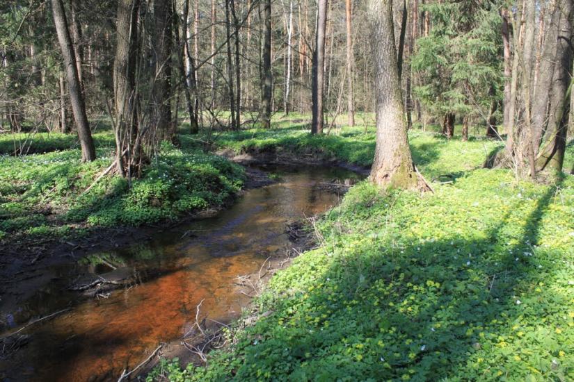 Суховоля з panoramio.com - Суховоля