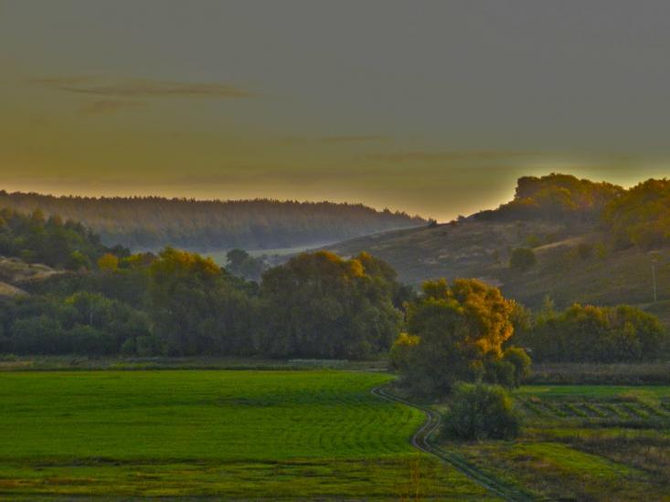 Рожаївка з panoramio.com - Рожаевка