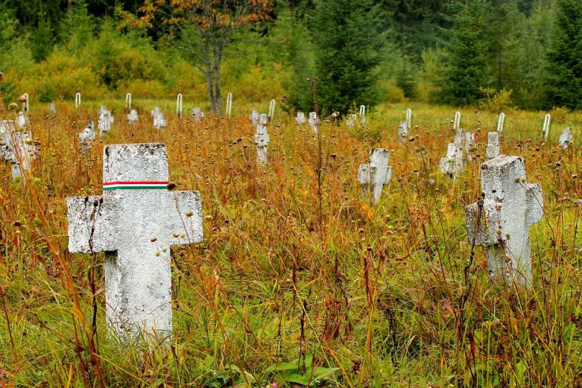 Вишків з panoramio.com - Vyshkiv
