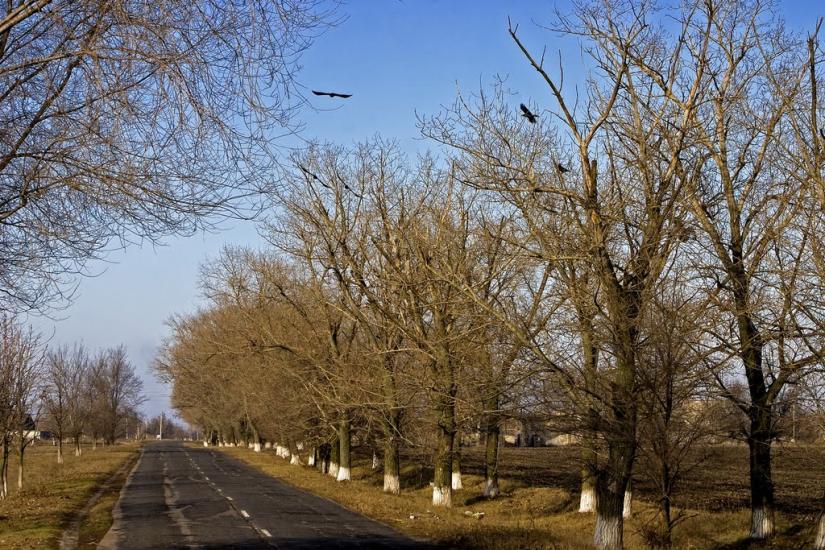 Новопілля з panoramio.com - Новополье