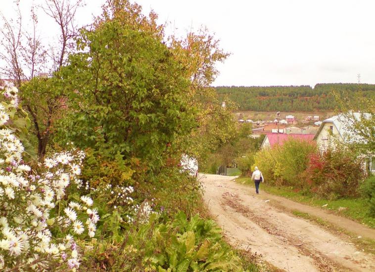 Лісники з panoramio.com - Лесники