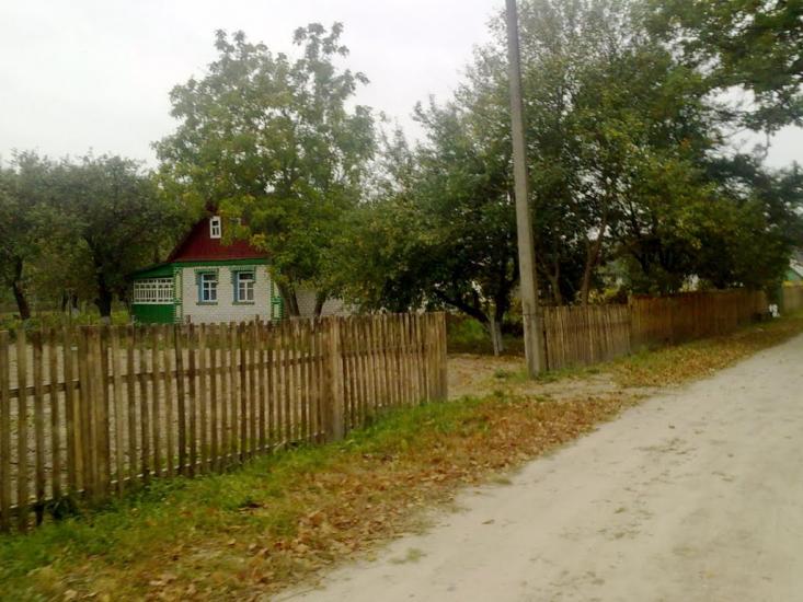 Рихальське з panoramio.com - Рыхальское