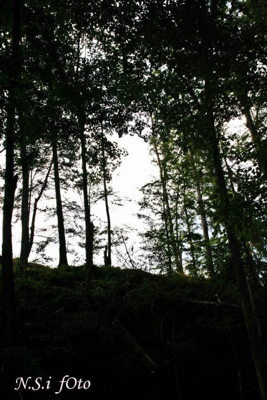 Бедевля з panoramio.com - Бедевля