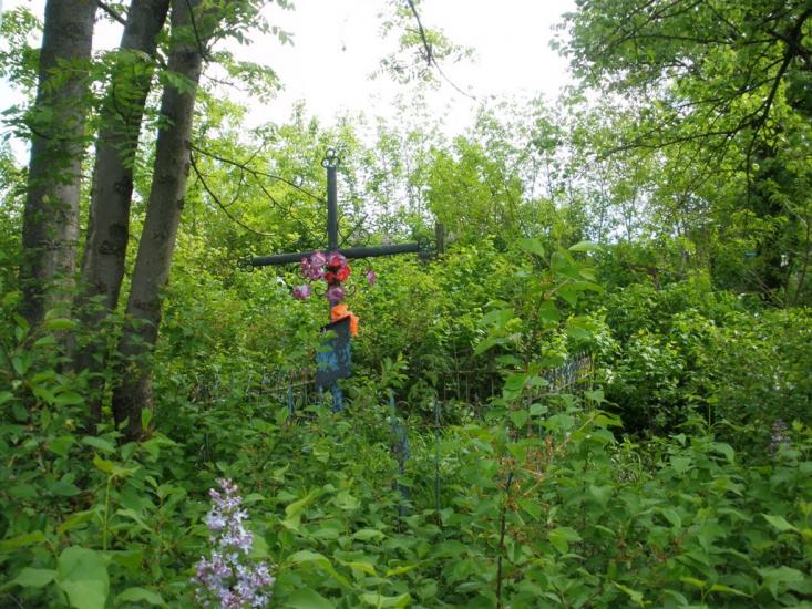 Володіївці з panoramio.com - Володіївці