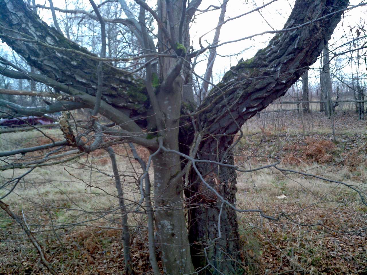 Городище - Городец