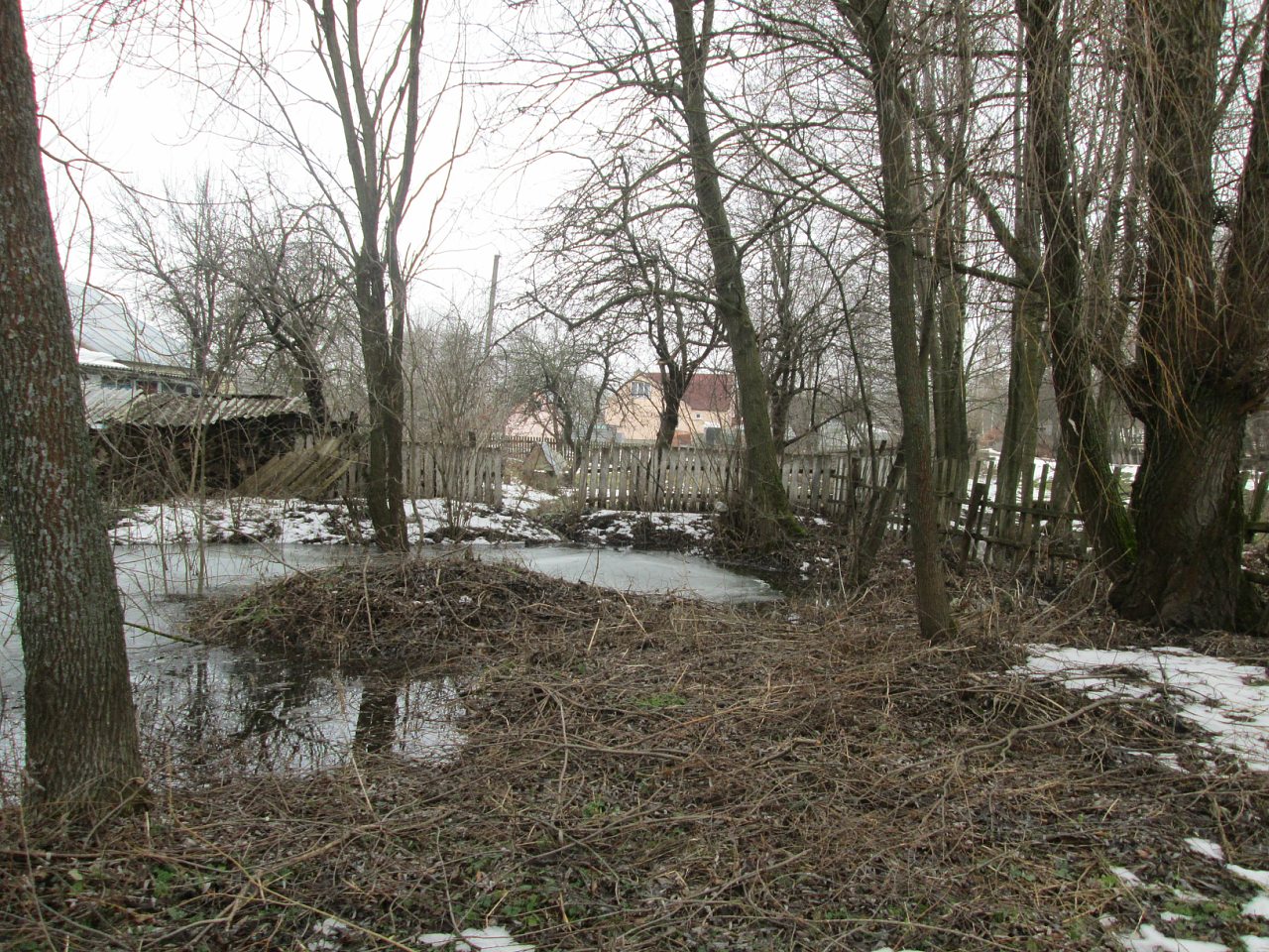 Мостове у лютому 2014 - Мостове