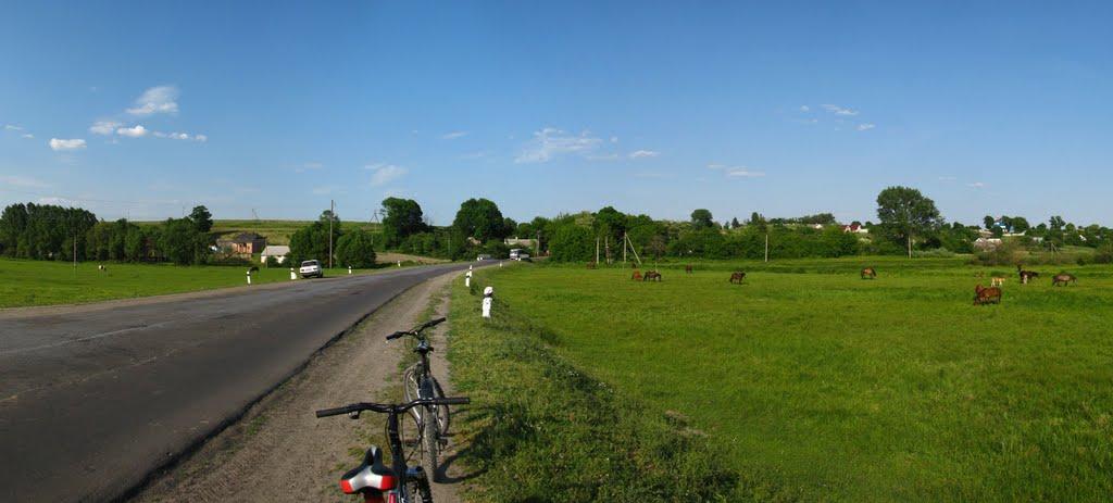 Великий Житин з panoramio.com - Великий Житин