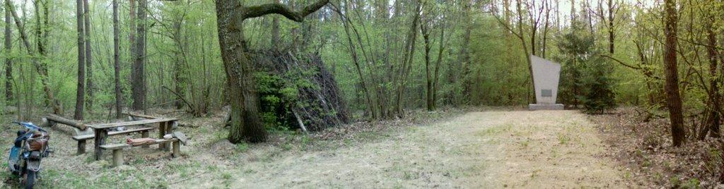 Кушкине з panoramio.com - Кушкино