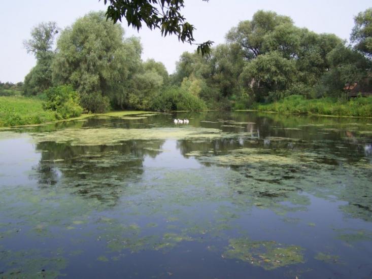 Хорів з panoramio.com - Khoriv