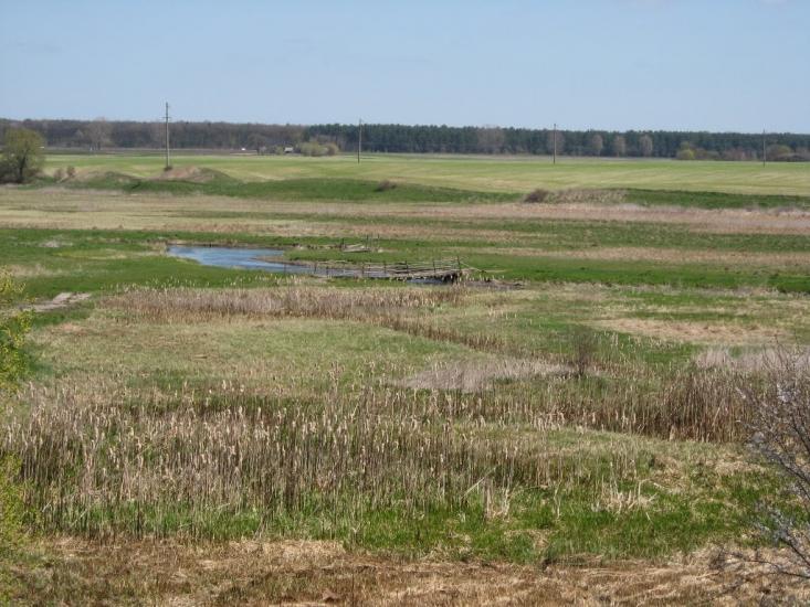 П'ятидні з panoramio.com - Пятидни