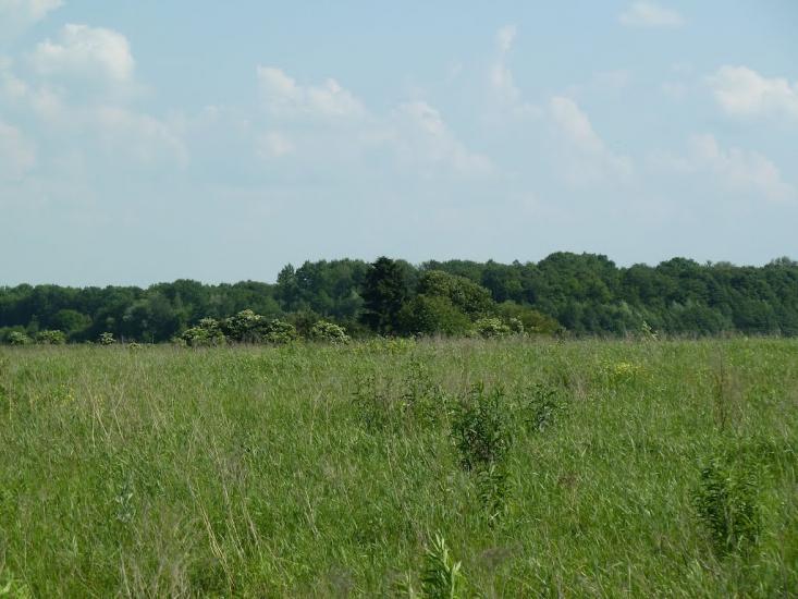Кураж з panoramio.com - Кураж