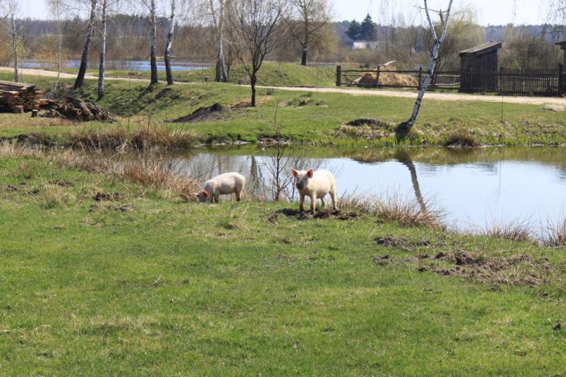 Суховоля з panoramio.com - Суховоля