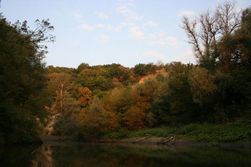 Плавні з panoramio.com - Плавни