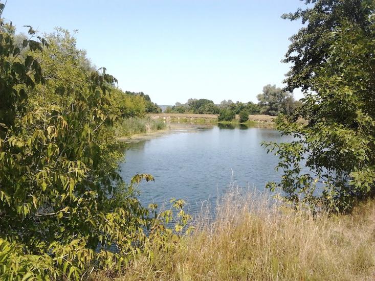 Межиріч з panoramio.com - Межирич