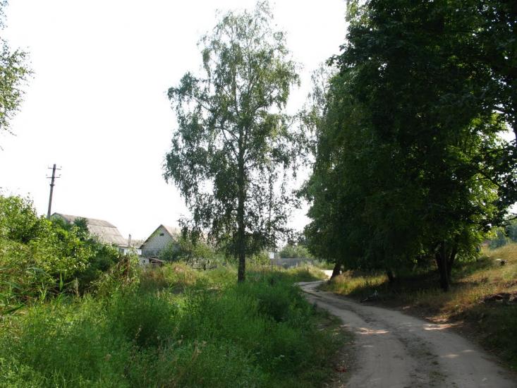 Чемужівка з panoramio.com - Чемужовка