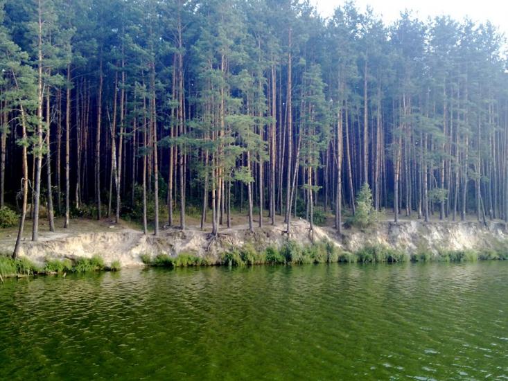 Лісне з panoramio.com - Лісне