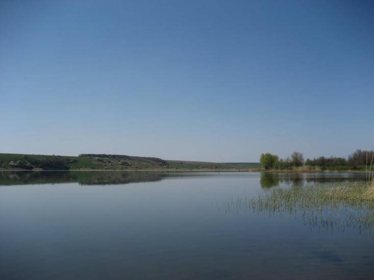 Липці з panoramio.com - Липцы