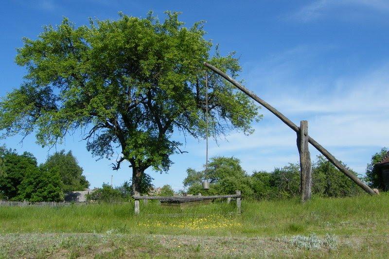 Грибова Рудня з panoramio.com - Грибова Рудня