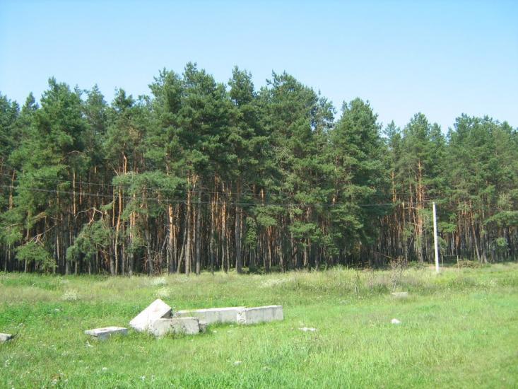 Чапаєвка з panoramio.com - Чапаевка