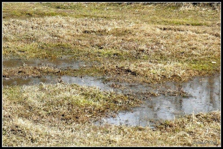 Вари з panoramio.com - Вари
