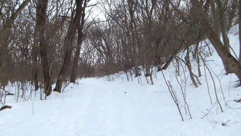 Червона Зоря з panoramio.com - Червоная Зоря