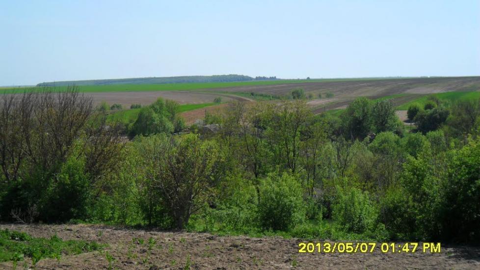 Босири з panoramio.com - Босири